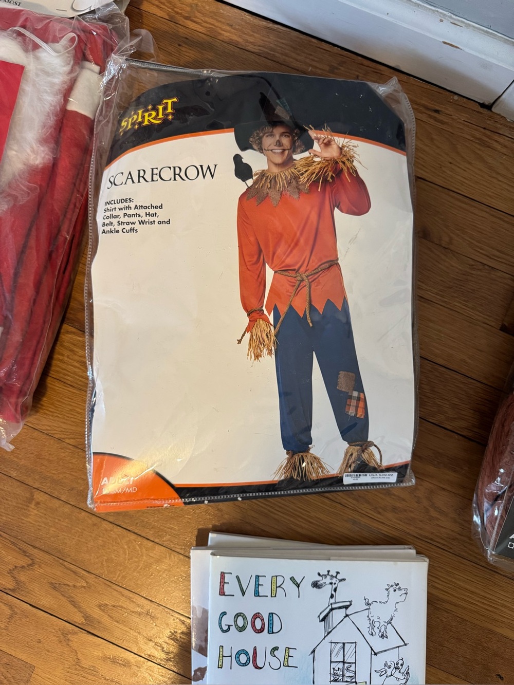 Spirit Scarecrow Costume in Orange and Blue